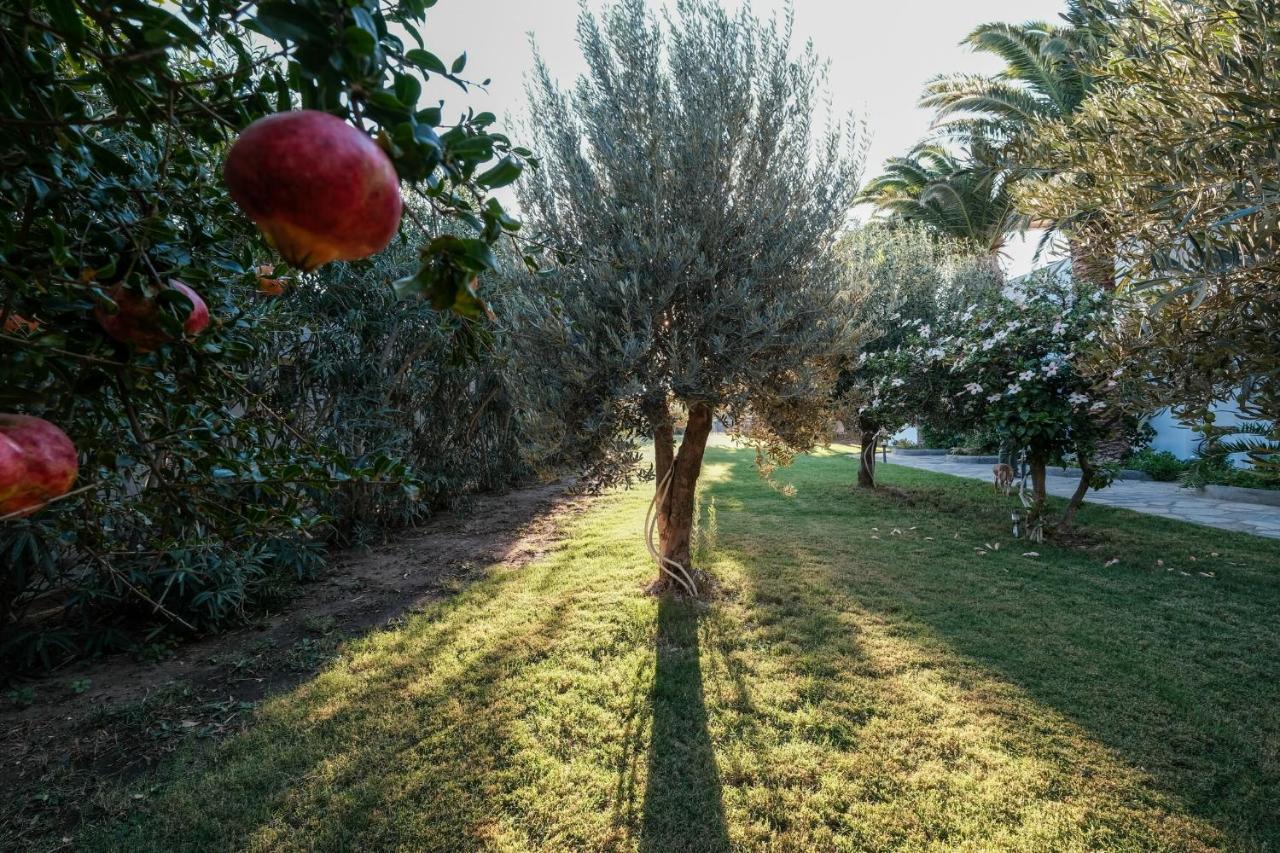 Golden Beach Studios & Suites Tinos Екстер'єр фото